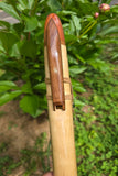 Ambrosia Maple-Walnut & Aromatic Red Cedar-key of G (742G)