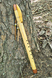 Swamp Ash &B Aromatic Red Cedar-Key of E (745E)